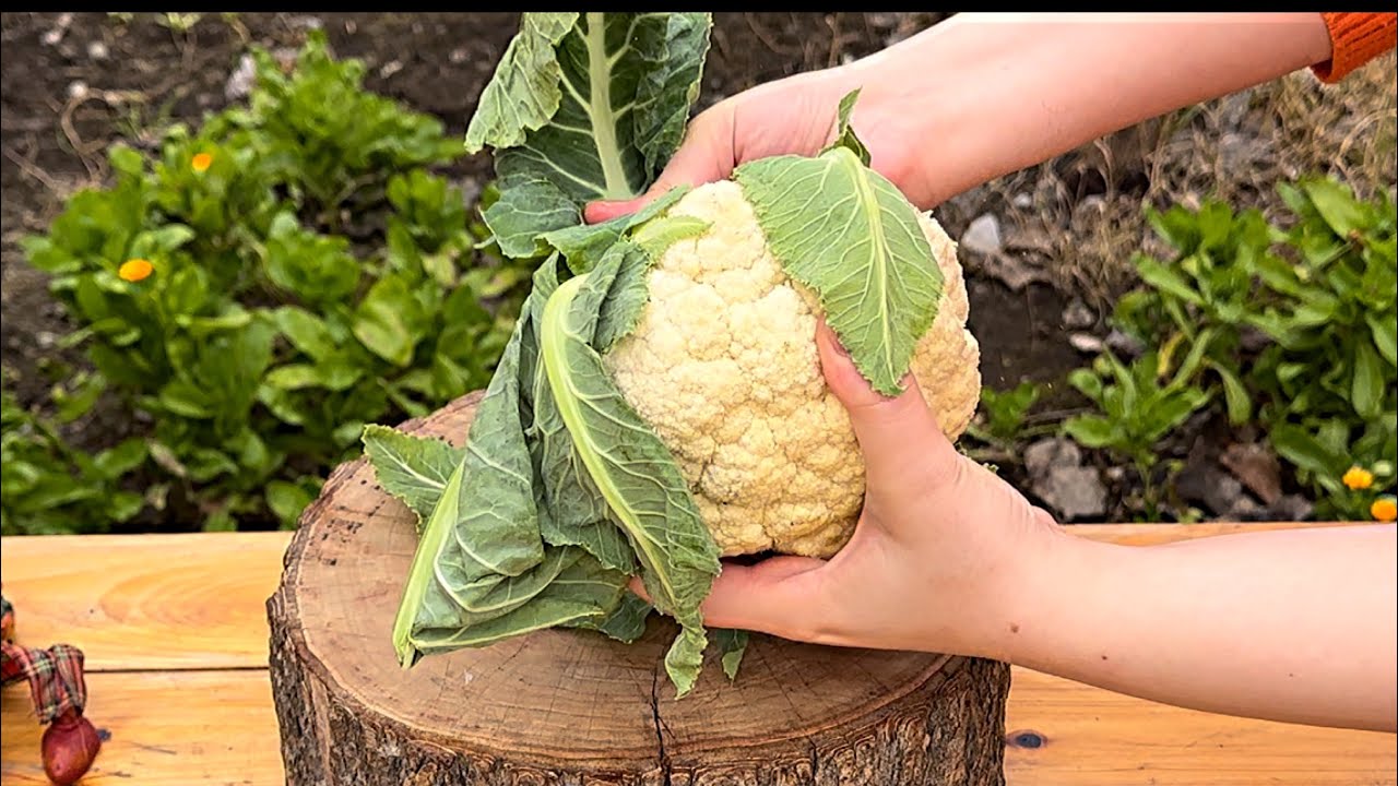 This Baked Cauliflower Recipe Stunned Everyone! ASMR food YouTube