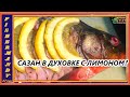 Лимонный сазан  Два вкусных рецепта для приготовления сазана в духовке от FishermanDV27Rus,