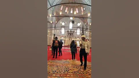 pretty cat in a beautiful mosque in turkey 🦃#trending #youtubeshorts