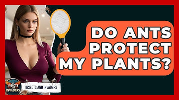 Do Ants Protect My Plants? - Insects and Invaders