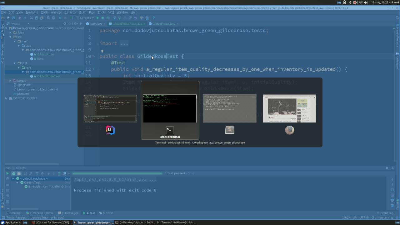 Brownish Greenfield Gilded Rose kata 1