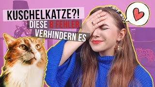 Kuschelkatze? 8 Tipps Damit Deine Katze Kuscheln Kommt Katzenerziehung Amely Rose & Catwalk