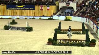 656 HILLCREST OUT OF THE BLUE Haley Redifer, Class 7 Medium Pony Hunter Conformation 656 HILLCREST OUT OF THE BLUE Haley Redifer, Class 7 Medium Pony Hunter Conformation