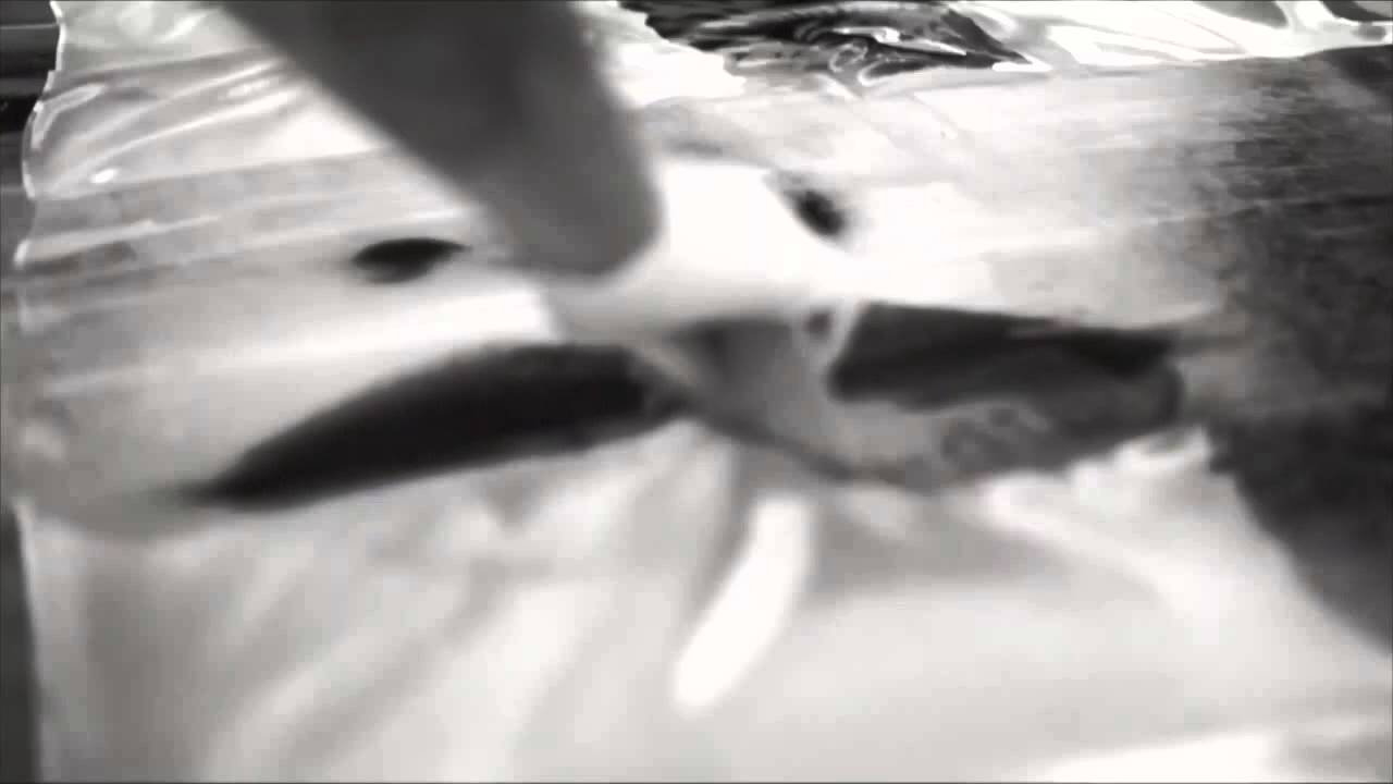 Peter Eaton Gurnz | BOXEIGHT | 2016