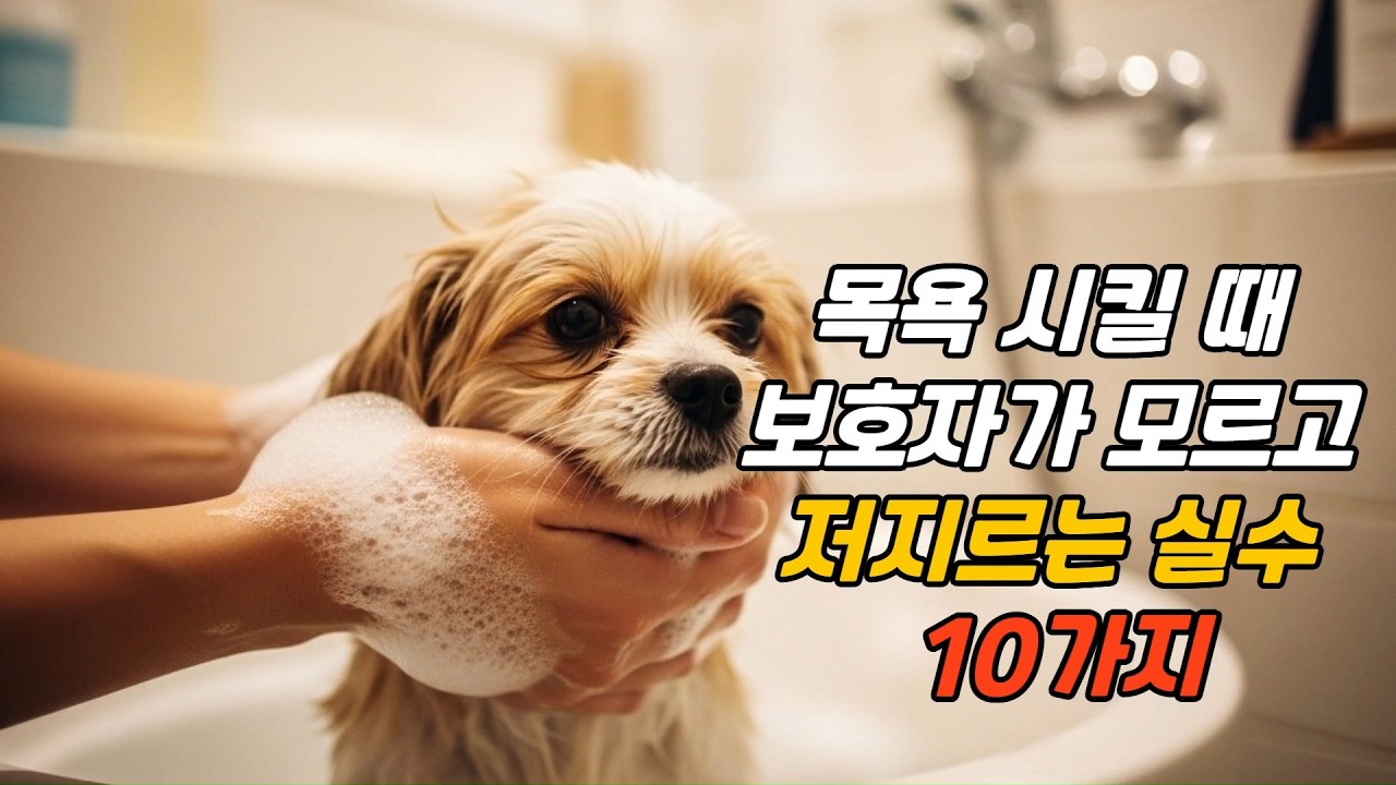 [Our Time] 강아지 목욕 시킬 때 보호자가 모르고 저지르는 실수 10가지 | #강아지브이로그