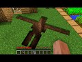 HOW NOOB FOUND IRON GOLEM TUNNEL IN VILLAGE!? Minecraft NOOB vs PRO! 100% TROLLING UNDERGROUND TRAP