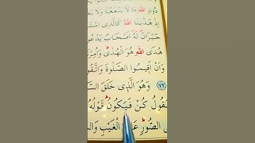 سورة الأنعام الأية 72 إلى 73 القارئ سعد الغامدي