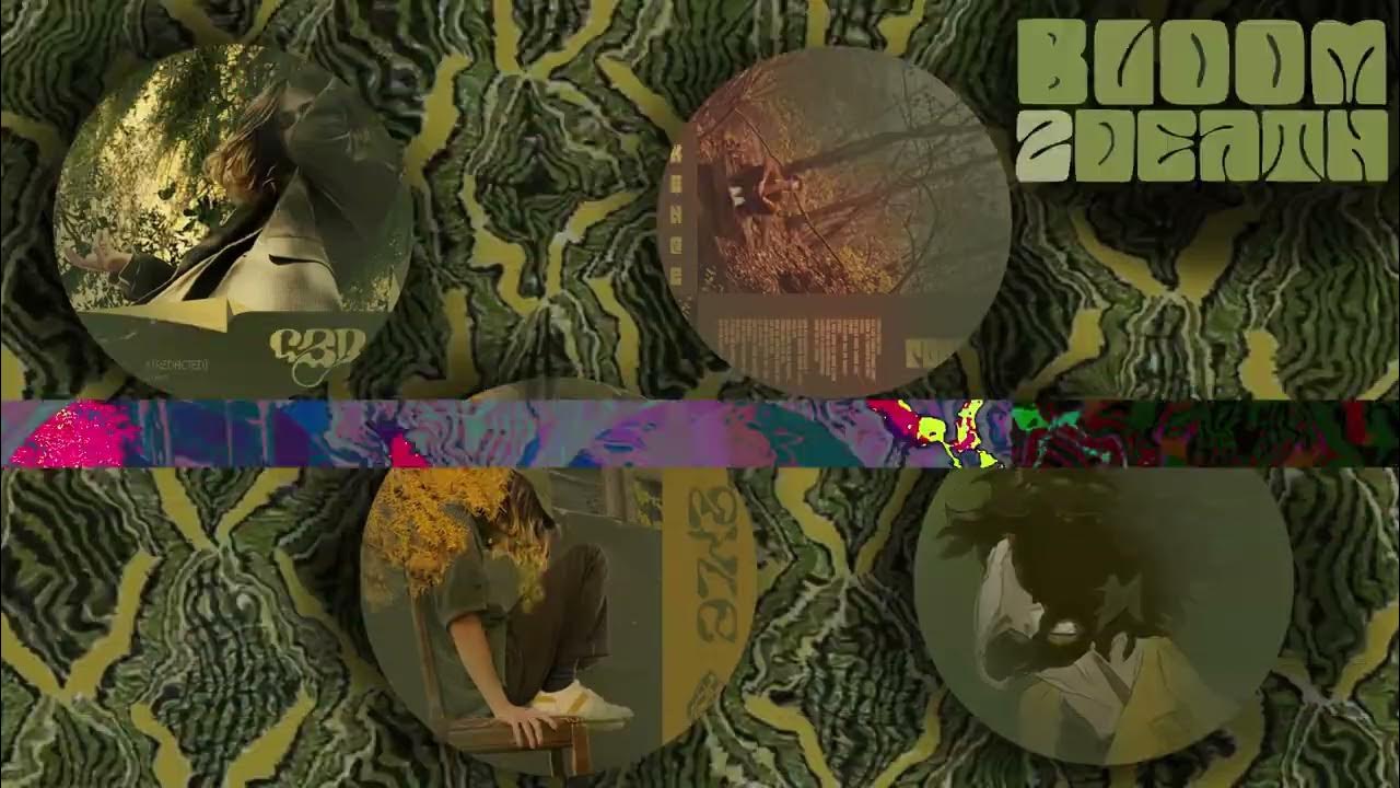 Venus Fly Trap Brakence (150 Speed) YouTube