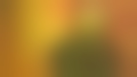 Artificial iris-lens diaphragm implantation