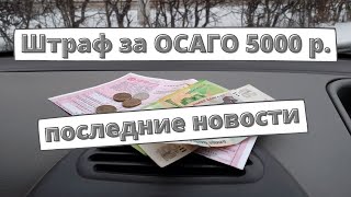 Штраф за ОСАГО 5000 рублей: последние новости [декабрь 2022]