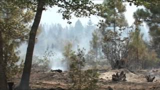 ODF predicts fire season could be more severe than last - Mar 23rd, 2015