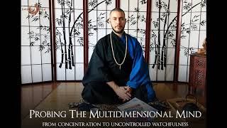 Probing The Multidimensional Mind : From Concentration To Uncontrolled Watchfulness