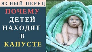 👶 ДЕТЕЙ НАХОДЯТ В КАПУСТЕ ИЛИ КАК ОБЪЯСНИТЬ РЕБЕНКУ ОТКУДА БЕРУТСЯ ДЕТИ ПОКАЗАТЬ 🚼