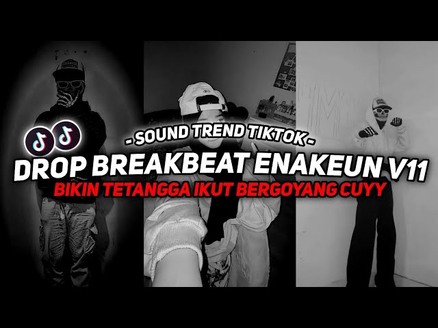 DJ DROP BREAKBEAT ENAKEUN V11 SOUND JJ VIRAL TIKTOK FULL BASS TERBARU 2024 ASIKK class=