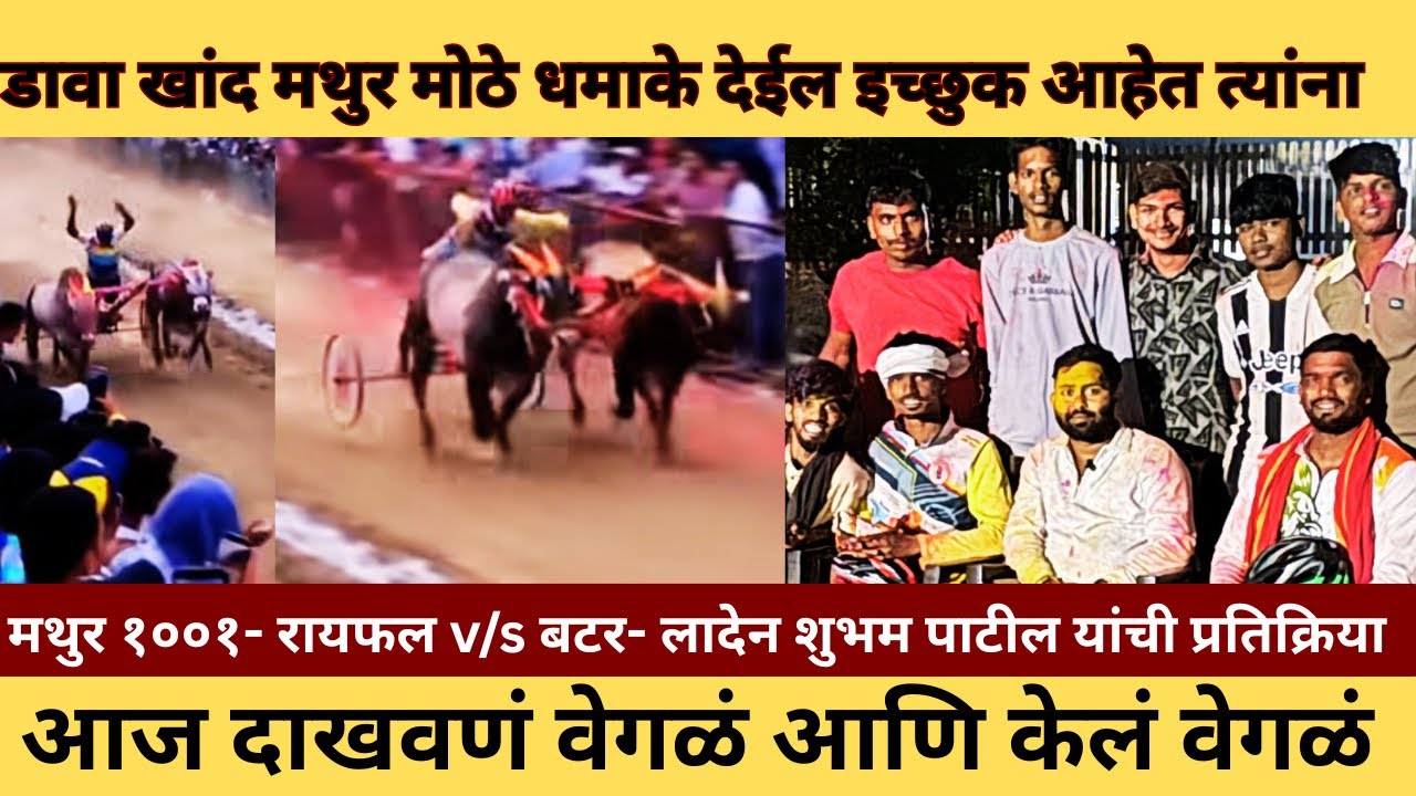 डावा खांद पळेल जे इच्छुक आहेत त्यांच्याशी 💯 टक्के गाडी खेळू, वडकी साठी कधी होणार रवाना मथुर १००१ 🫶😍