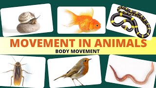Movement in animals / Body movement / Science Class 6 Chapter 8 screenshot 5