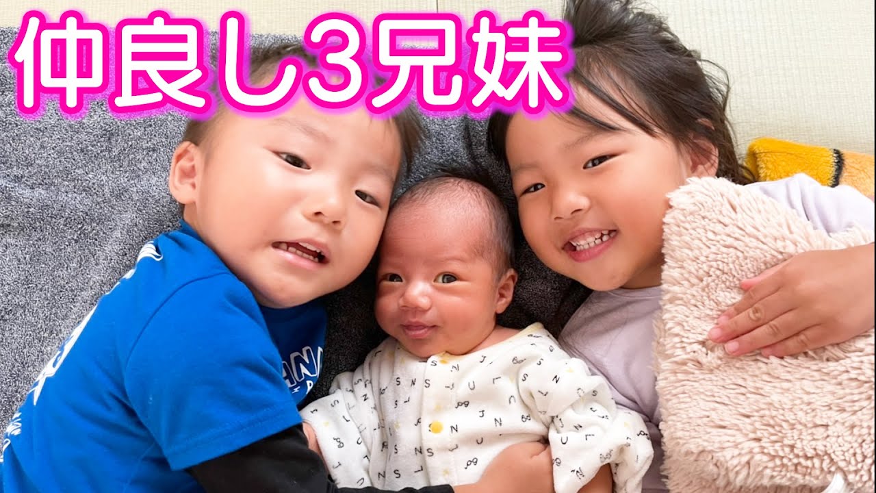 とっても仲良し3兄妹 2歳児男女双子 生後2週間弟君 何気ない日常159 Youtube