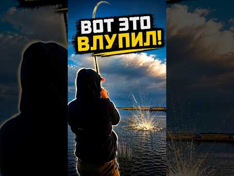 ВОТ ЭТО ВЛУПИЛО! Удача была на нашей стороне! Рыбалка 2026 #рыбалка #carpfishing #shorts