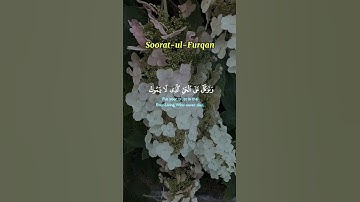 #القرآن_الكريم#تلاوة_خاشعة#تلاوة_هادئة#سورۃ#الفرقان#خالد_الجليل#surahfurqan#fypシ#viralquran#viral