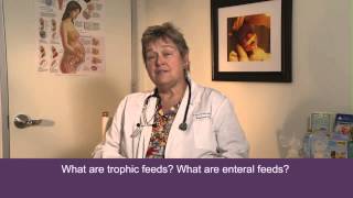 Terry Johnson (Prolacta) - What are trophic feeds?  What are enteral feeds?
