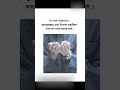 #islamick vidio#viral short vidio#viral reels