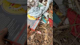 I FOUND A SEALED BOX OF POKÉMON CARDS IN THE WOODS……
