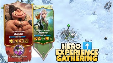 Call of Dragons - Hero Leveling up Tip