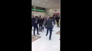 Siverek Halay Ortaya Çıkma Muhteşem