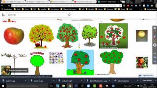 Exercice Word 4 - le verger