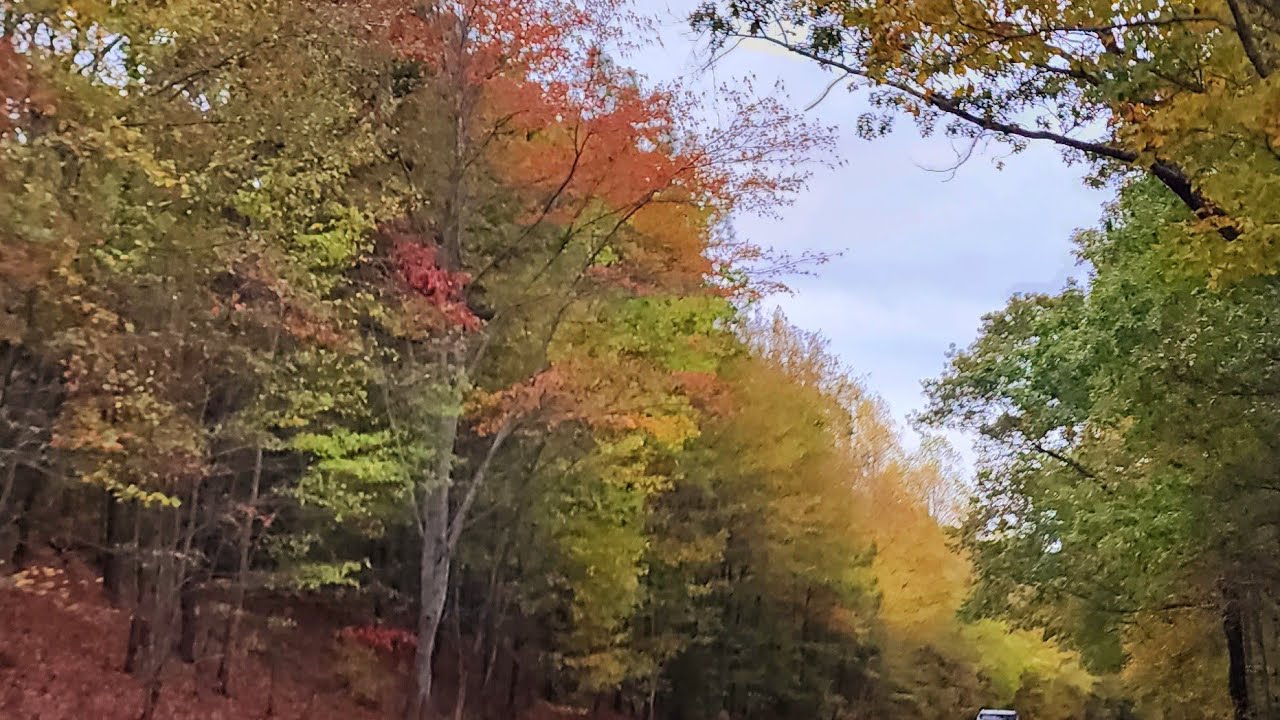 Tennessee side of the Natchez Trace Parkway Fall Foliage 10-15-2023 ...