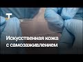 Учёные из Сингапура создали искусственную кожу с самозаживлением