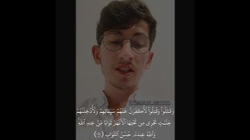 من سورة آل عمران 🧡🧡 القارئ زياد أصلان