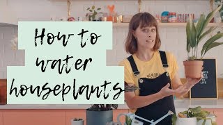 How much should I water my plant? 🌴 💧