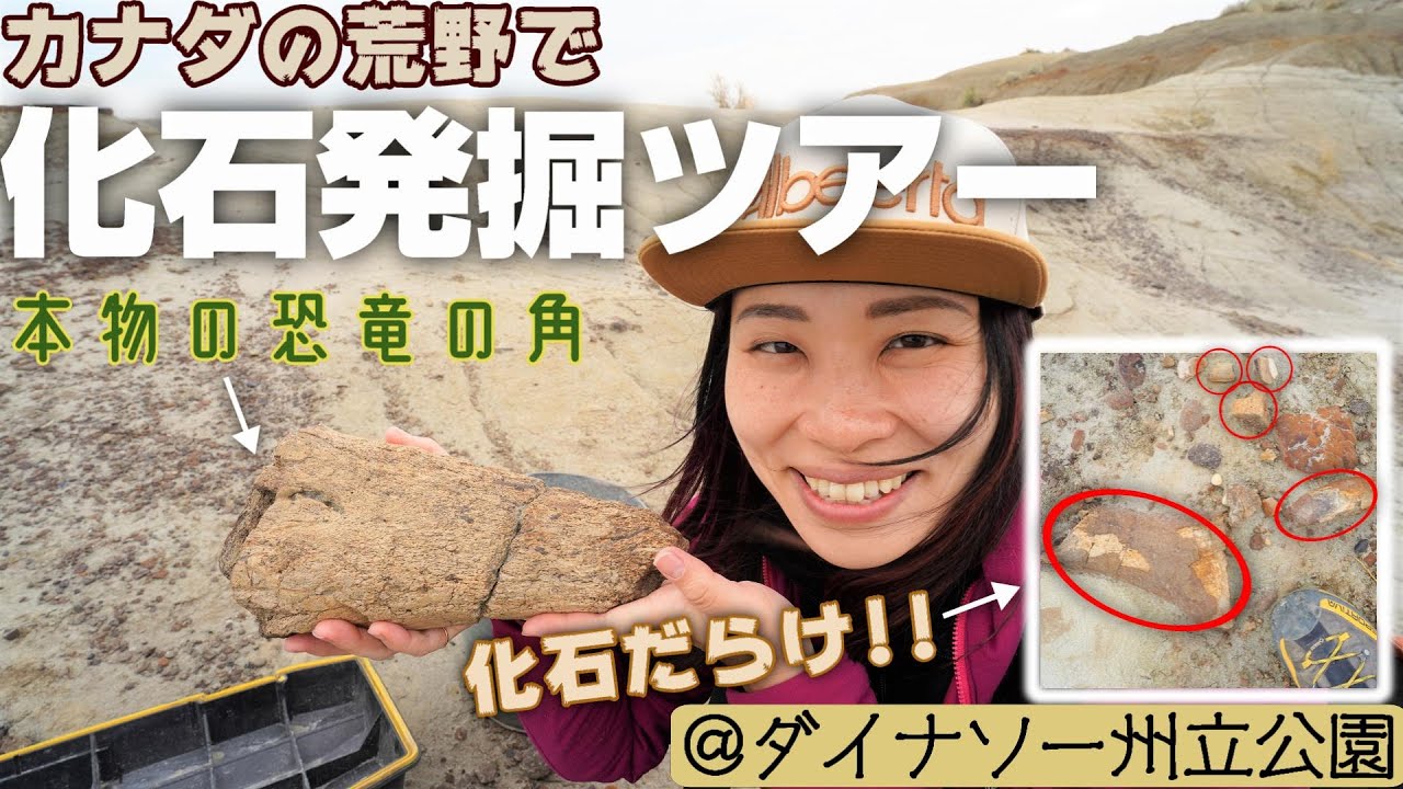 火星のような荒野を抜けて 世界的に有名な恐竜化石の密集地に行く限定ツアーに参加 足の踏み場も無いくらい化石だらけ Youtube