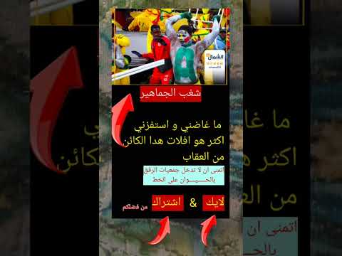 شدوه ليااااااا الجامعة الكاف كأس العالم 