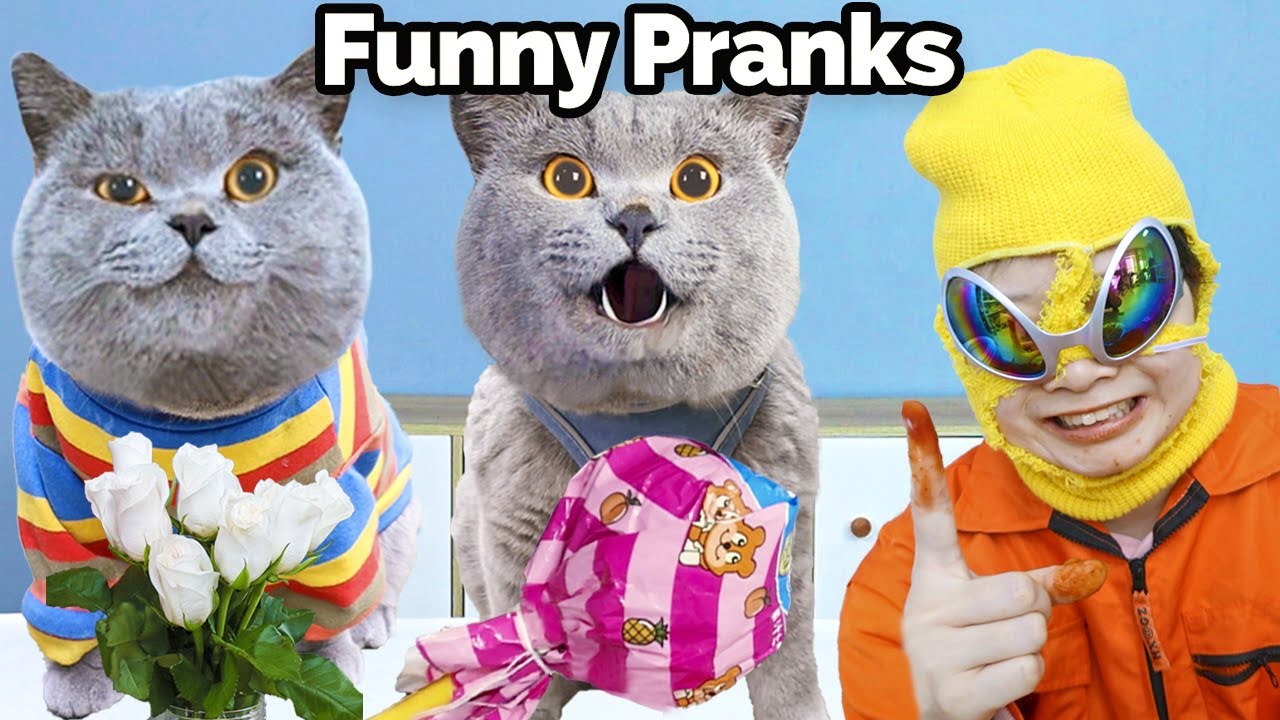 Laugh And Cry With My Wonderful Videos!😺✨| Oscar's Funny World