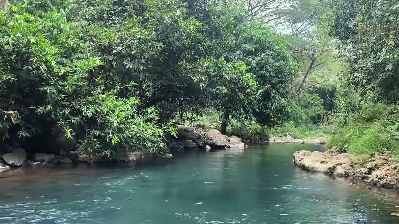 Soothing Spa Music • Soft Water Sounds ☘️ Relieves Stress and Anxiety