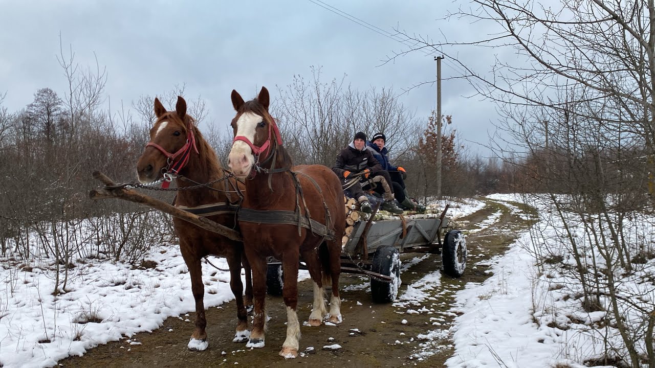 Мая в роботі☎️📍возим дрова🪵🪓