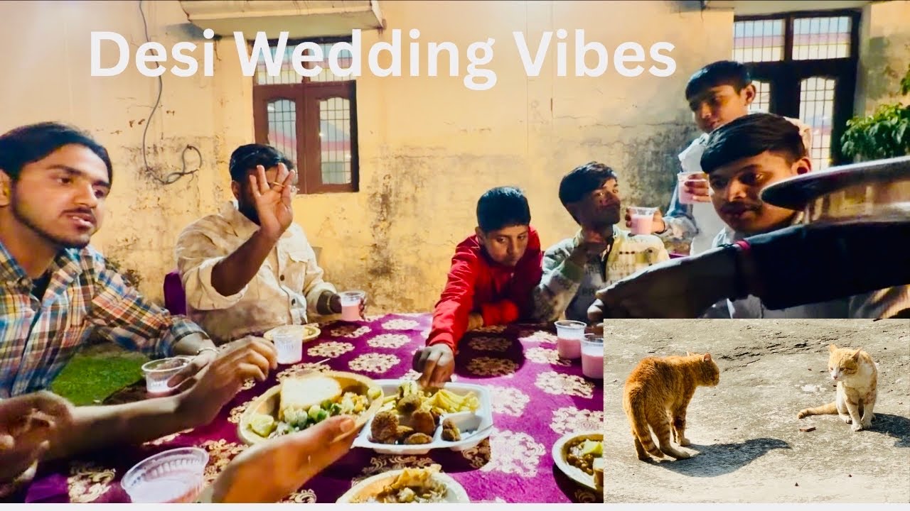 Hamari Gali Mein 5–6 Shaadi 😱 | Sab Attend Ki | Cat Fight | Family Vlog