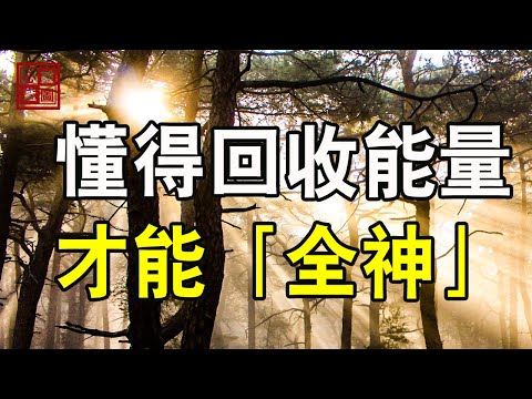 一個人，懂得回收能量，才能全神【心靈藍圖2023】#人生感悟 #情感故事