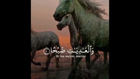 سورة العاديات 🐎🌴|حالات واتس اب |#بدون_حقوق