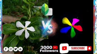 Flower photo editing | creative colorful flower photo editing| by Snapseed app screenshot 1