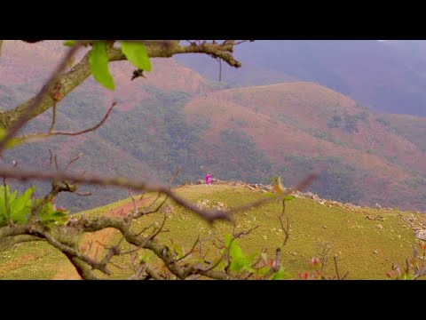 Putar Phezulu - Costa Titch
