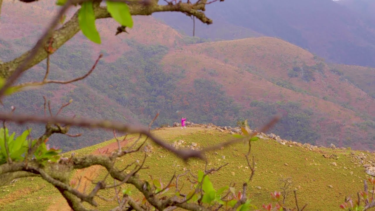 Costa Titch - 09 PHEZULU (VISUALIZER)