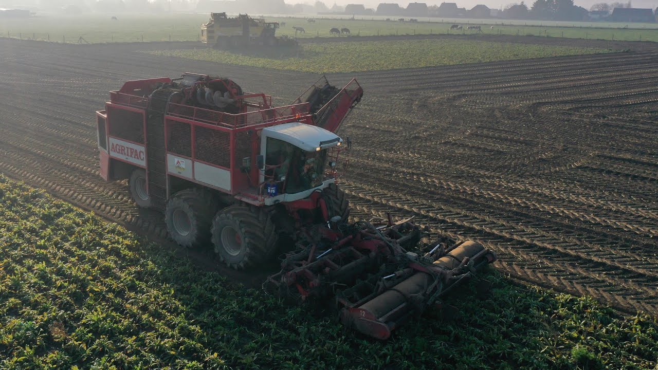 24 RANGS en 1 PASSAGE !!! AGRIFAC 12 RANGS | ROPA TIGER & REXOR