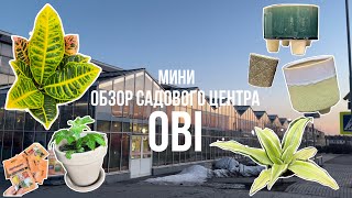 ОБЗОР САДОВОГО ЦЕНТРА OBI + мои покупки