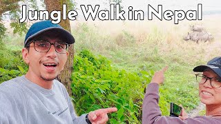 Jungle Walk inside the Forest of Meghauli in Chitwan