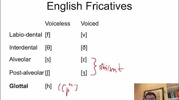 Linguistics 341 - Introduction to Phonetics - Consonant Dimensions II