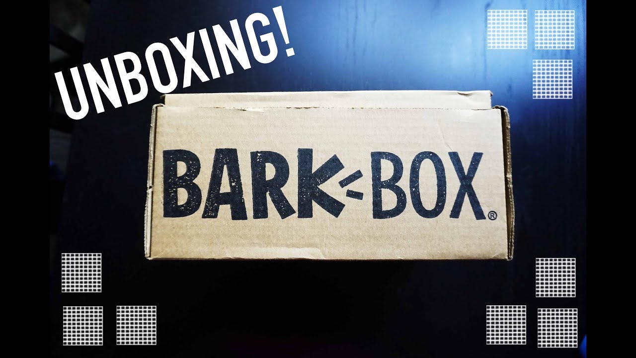 January Bark Box Unboxing! YouTube