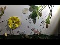 🎨 Animace Verča – krátký vizuální moment z našeho světa mezi řádky